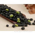 Black Bean Rice